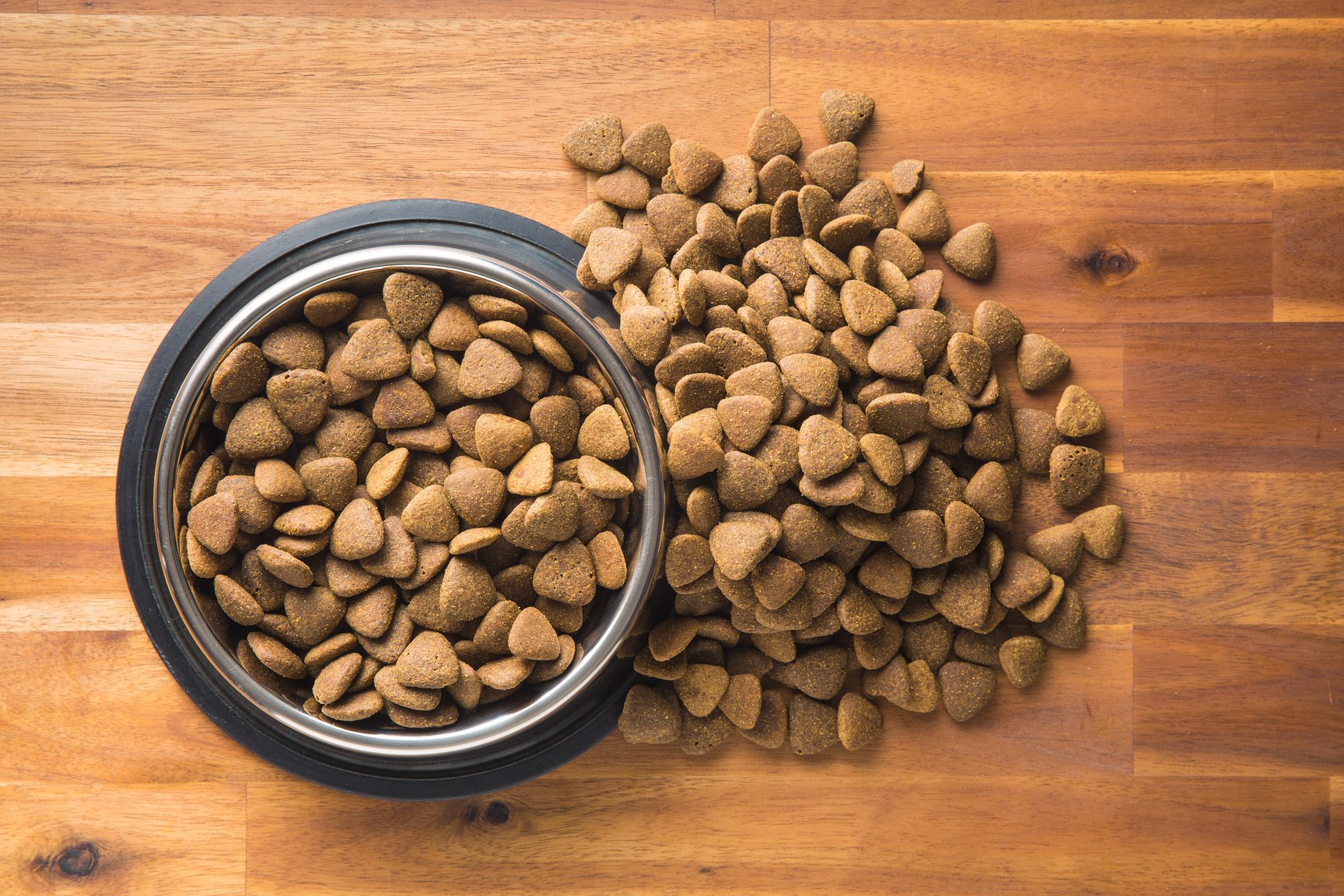 Dry kibble dog food